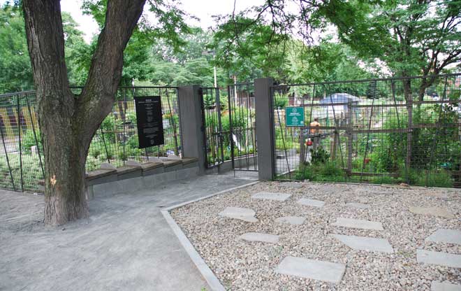 Shady Entryway