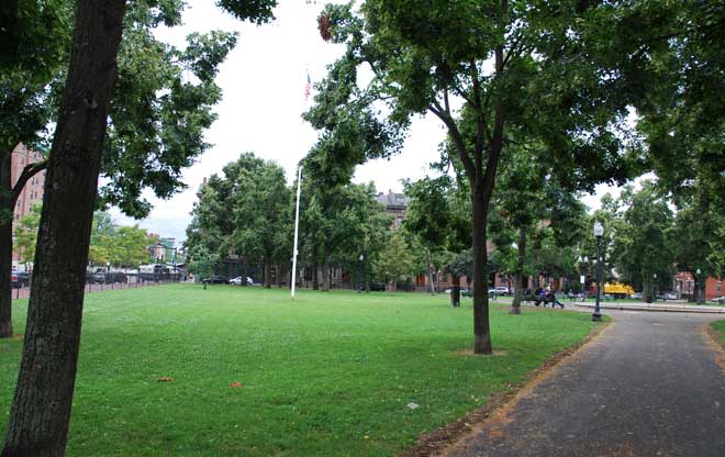 Open Lawn