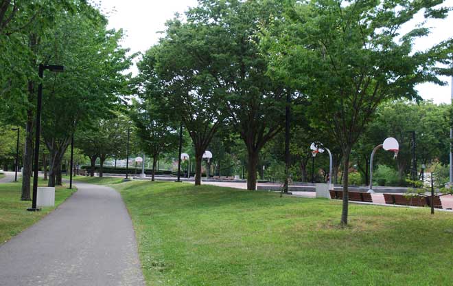Neighborhood Amenities