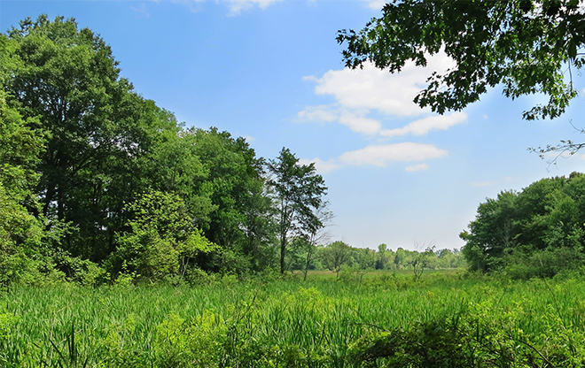 farm4