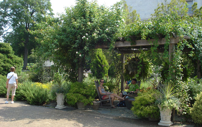 botanic7