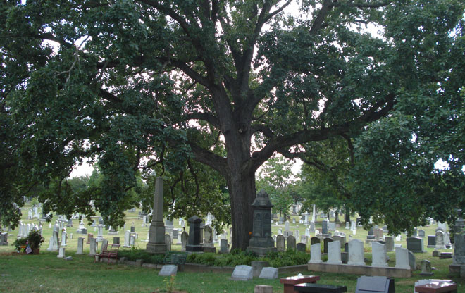 cemetery1