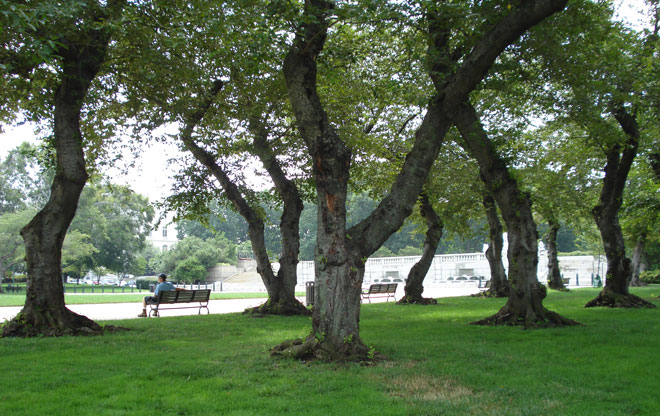upper2