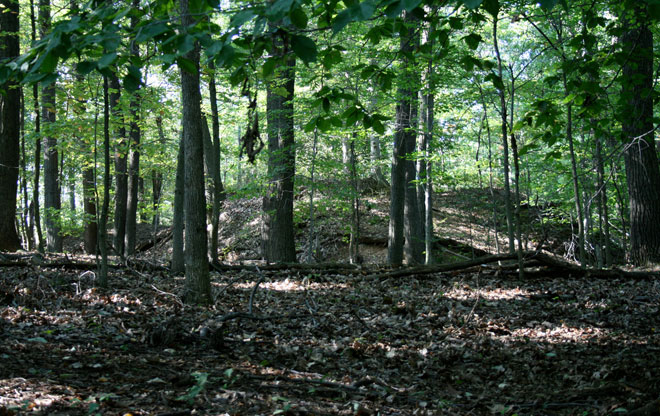 rockcreek11