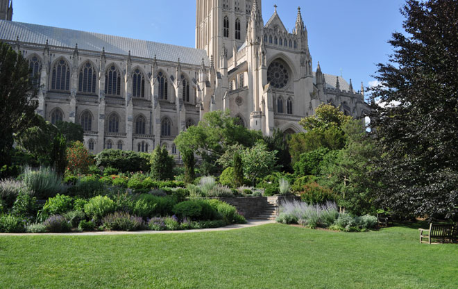 cathedral7