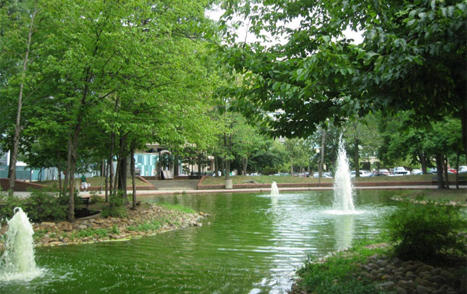 duckpond3