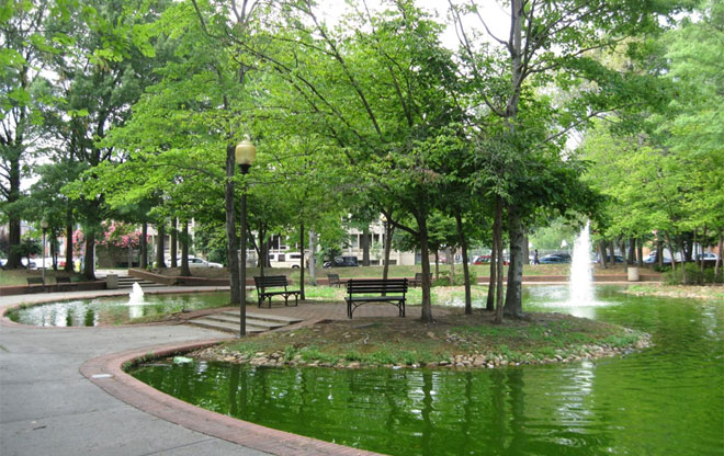 duckpond6