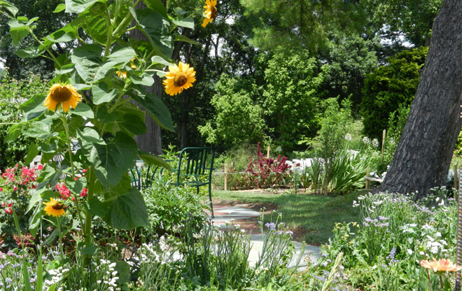 hillwood10