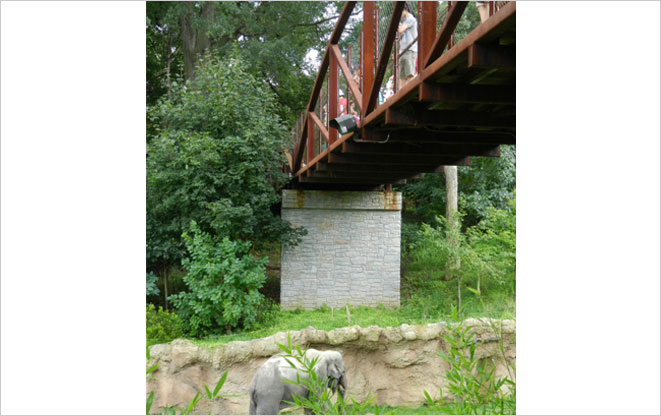 zoo10