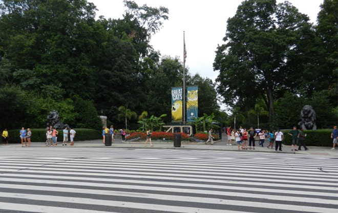 zoo2