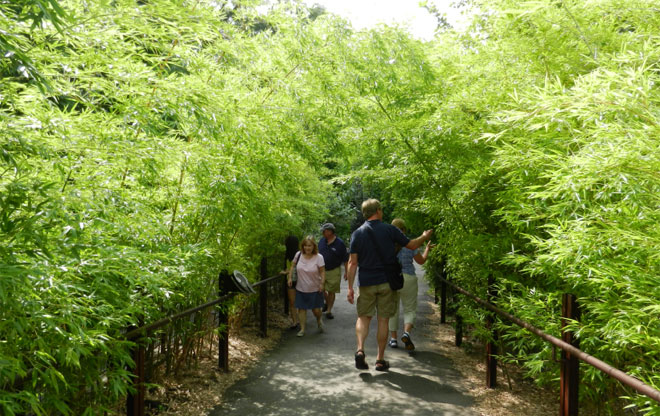 zoo5