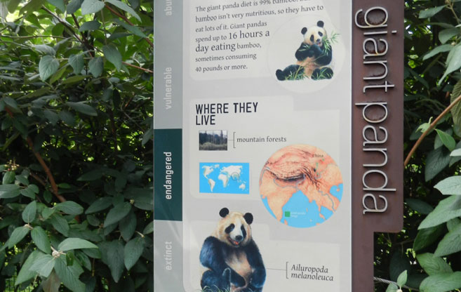 zoo6