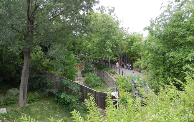 zoo8