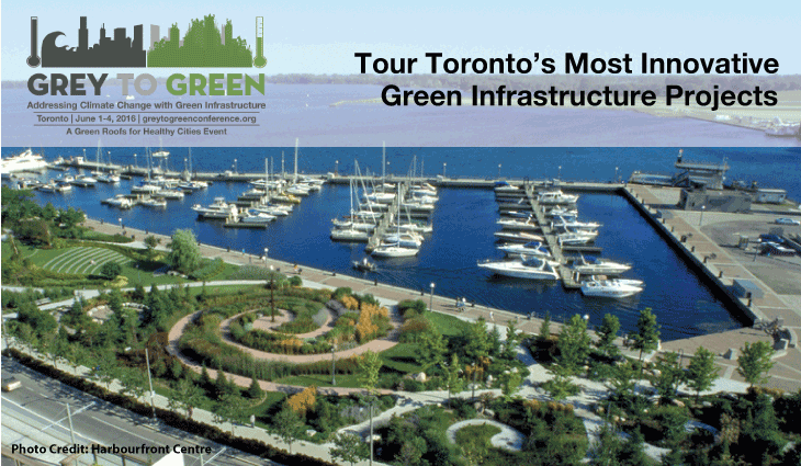 g2ggarden730x425 g2ggarden730x425